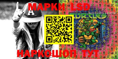 индика Заволжье