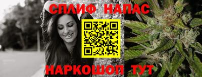 индика Заволжье