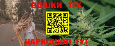 индика Заволжье