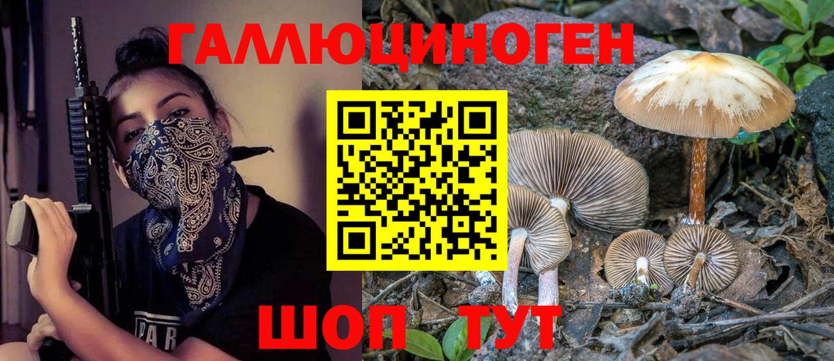 Псилоцибиновые грибы Cubensis  Вход с VPN  Кумертау 
