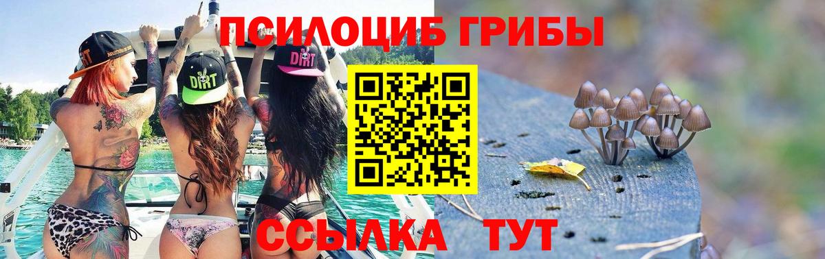 Псилоцибиновые грибы MAGIC MUSHROOMS Кумертау